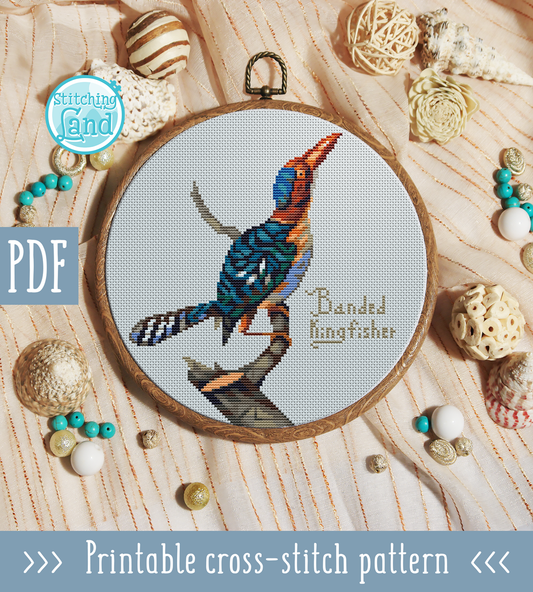 Banded Kingfisher Cross Stitch Pattern