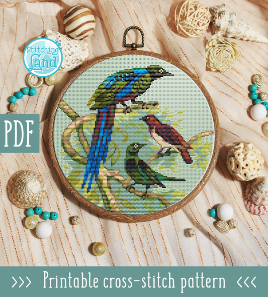 Cape Glossy Starling Cross Stitch Pattern
