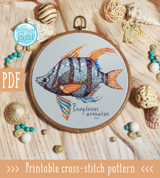Fish Enoplosus Cross Stitch Pattern