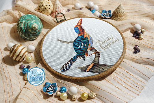 Banded Kingfisher Cross Stitch Pattern