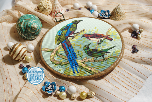 Cape Glossy Starling Cross Stitch Pattern