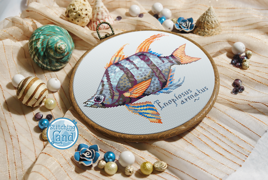 Fish Enoplosus Cross Stitch Pattern