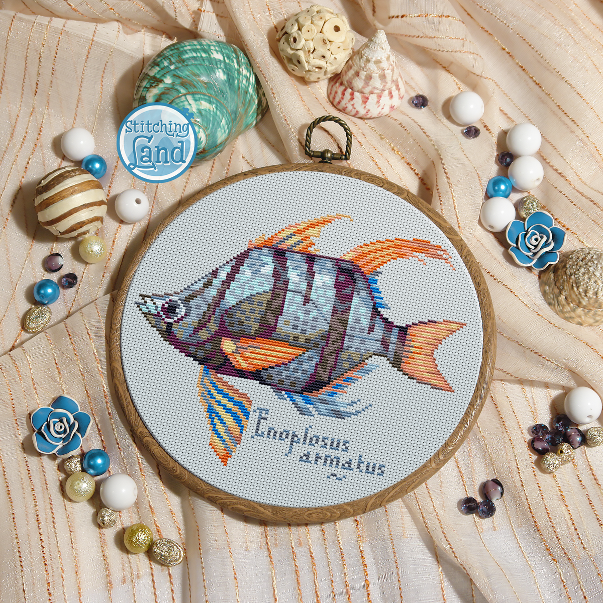 Fish Enoplosus Cross Stitch Pattern
