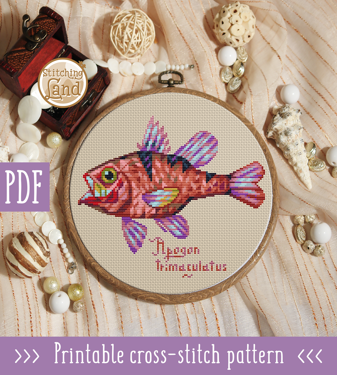 Fish Apogon Cross Stitch Pattern